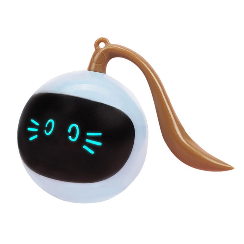 כדור הקסם לחתול בעלי חיים